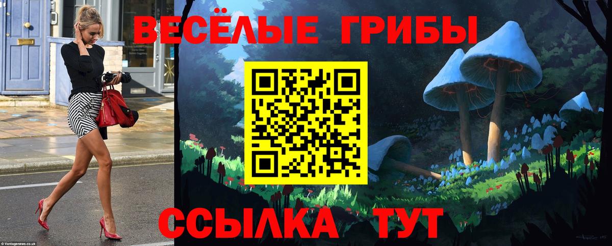 Галлюциногенные грибы GOLDEN TEACHER Брянск